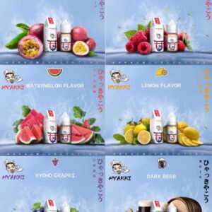 6666 日系HYAKKI哈亞齊30ML/35MG 原裝進口小煙油 哈亞齊水果系列